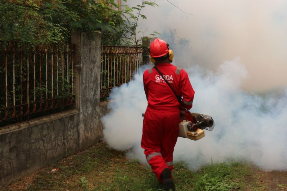 Pest control worker fogging outdoors